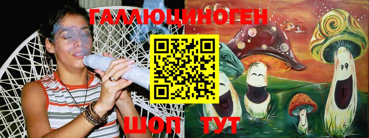 Галлюциногенные грибы MAGIC MUSHROOMS  Вход с VPN  Калуга  Псилоцибиновые грибы Psilocybine cubensis 